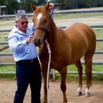 France Turf Vip