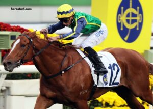 Turf Dernière Minute