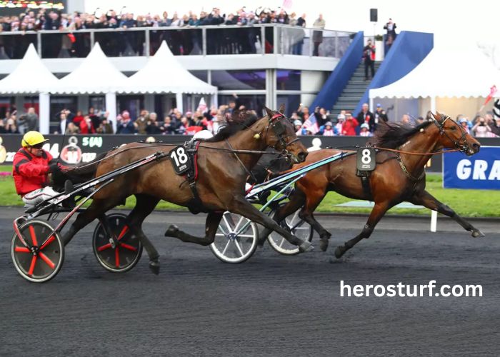 Course en Direct