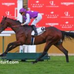 Evodine Turf 2 (2)