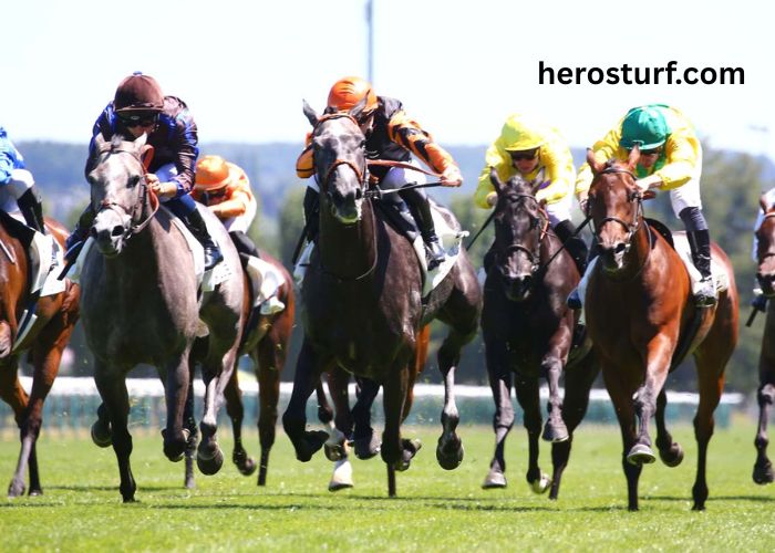 Formule Sur Turf (3)