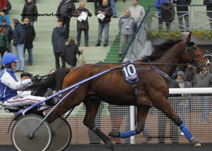 Lavoyeuse Coup SU Du Jr