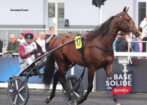 Le Cheval DE Base Incontournable (2)