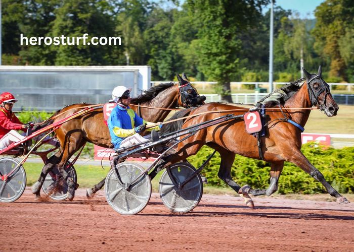 Le Duo Du Turf