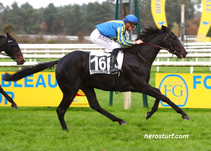 Lebosse Du Turf (2)