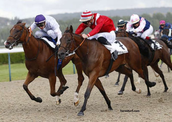 Ordre-Tierce Vip