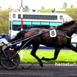 Power Turf Gagnant (1)