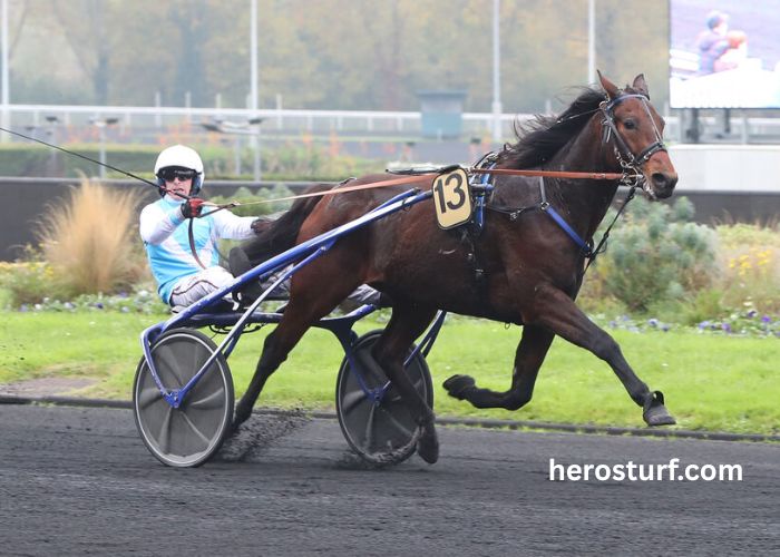 Jolie Turf Gagnant (2)