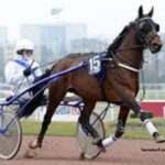 Lingodor Turf 2019