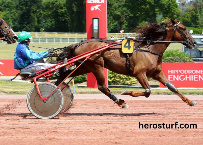 Percherdor Turf 100 (3)