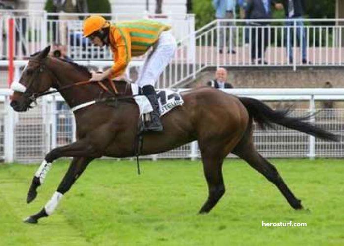 Pion Sur Pmu