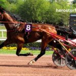 Somboturf Gagnant 1 (3)