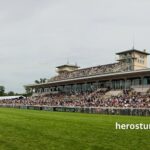 Turf D'or (100+) (5)