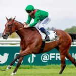 Paris Promise Turf