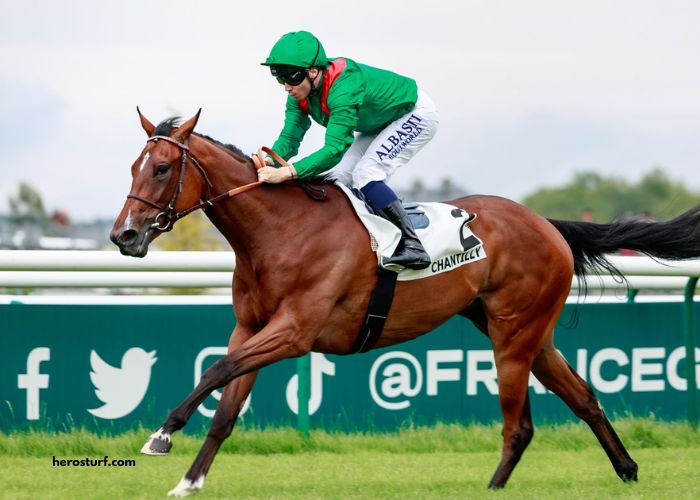 Paris Promise Turf