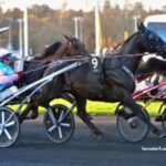 Trio 3 Chevaux